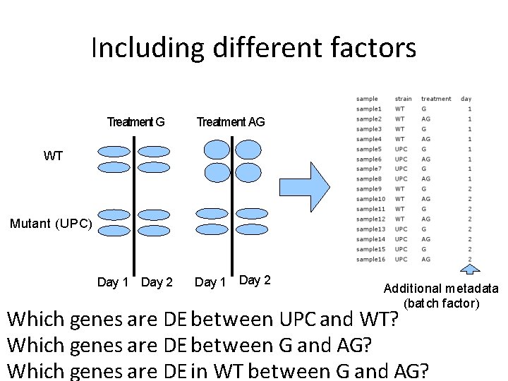 Including different factors Treatment G Treatment AG Day 1 Day 2 WT Mutant (UPC) Including different factors Treatment G Treatment AG Day 1 Day 2 WT Mutant (UPC)