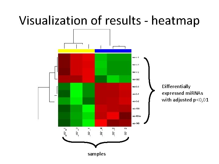 Visualization of results - heatmap Differentially expressed mi. RNAs with adjusted p<0, 01 samples Visualization of results - heatmap Differentially expressed mi. RNAs with adjusted p<0, 01 samples