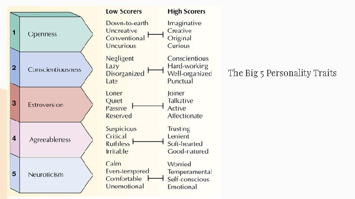 The Big 5 Personality Traits 