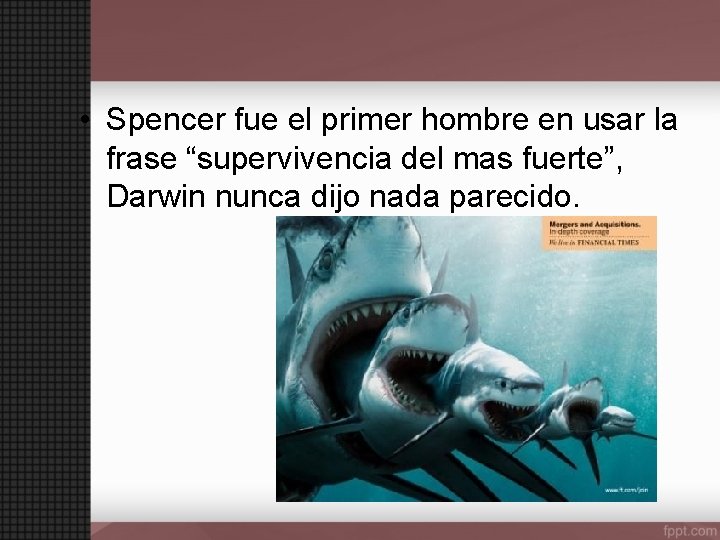  • Spencer fue el primer hombre en usar la frase “supervivencia del mas