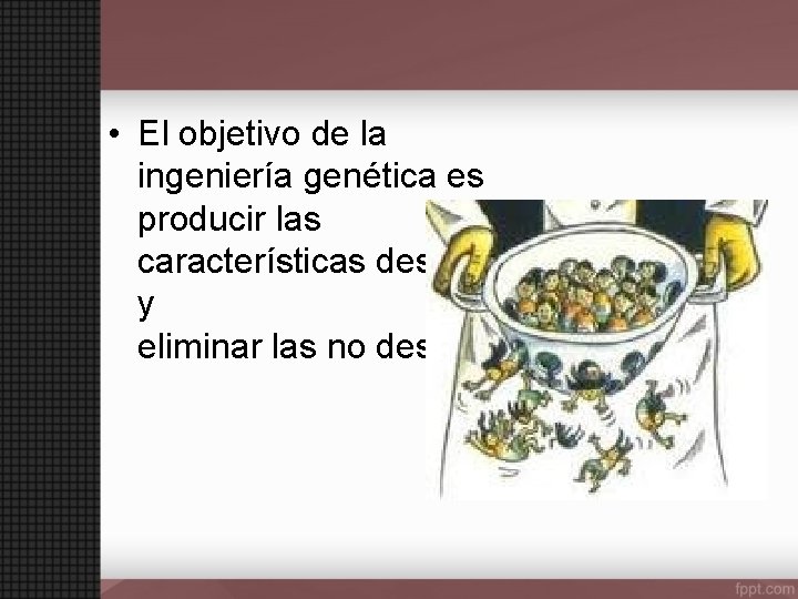  • El objetivo de la ingeniería genética es producir las características deseadas y