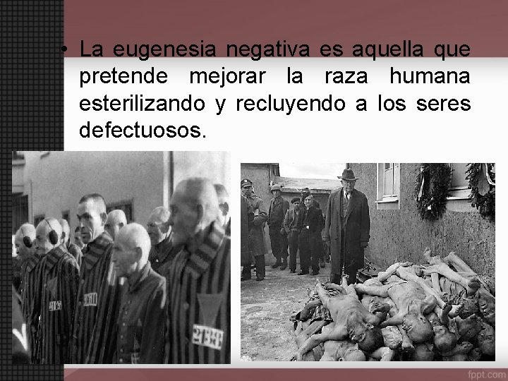  • La eugenesia negativa es aquella que pretende mejorar la raza humana esterilizando