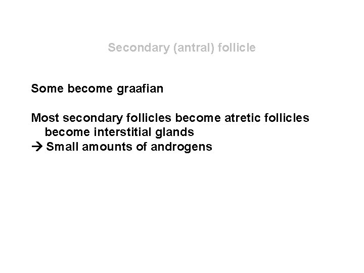 Secondary (antral) follicle Some become graafian Most secondary follicles become atretic follicles become interstitial