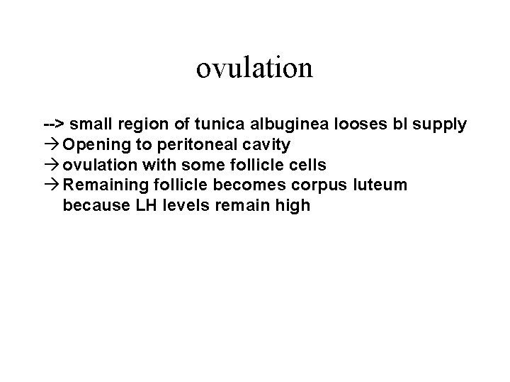 ovulation --> small region of tunica albuginea looses bl supply à Opening to peritoneal