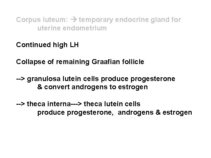 Corpus luteum: temporary endocrine gland for uterine endometrium Continued high LH Collapse of remaining