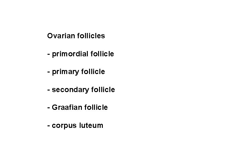 Ovarian follicles - primordial follicle - primary follicle - secondary follicle - Graafian follicle