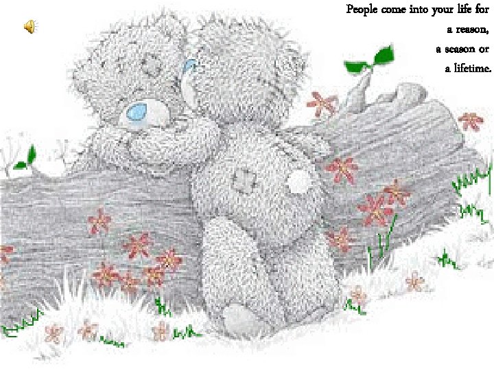 People come into your life for a reason, a season or a lifetime. 