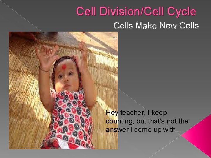 Cell Division/Cell Cycle Cells Make New Cells Hey teacher, I keep counting, but that’s