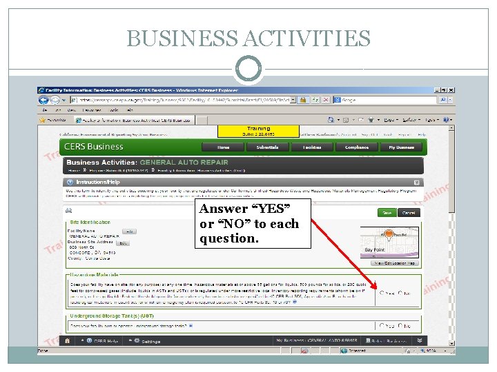 BUSINESS ACTIVITIES Answer “YES” or “NO” to each question. 