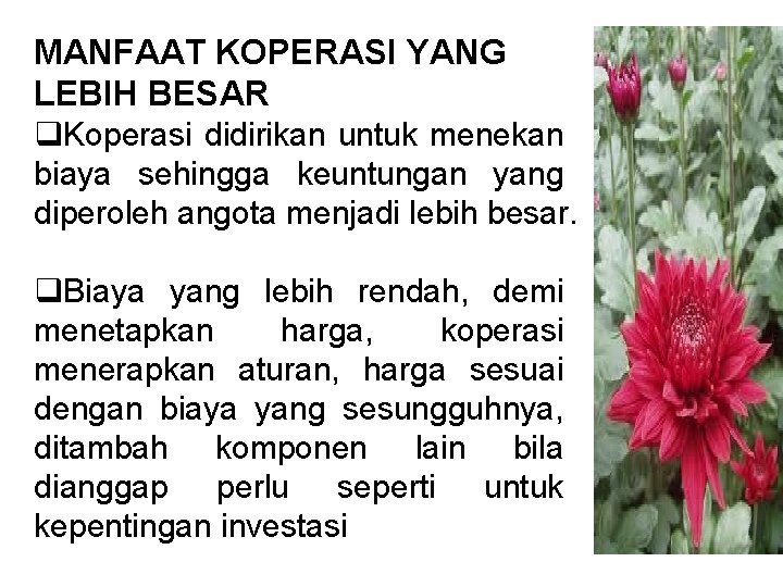 MANFAAT KOPERASI YANG LEBIH BESAR q. Koperasi didirikan untuk menekan biaya sehingga keuntungan yang