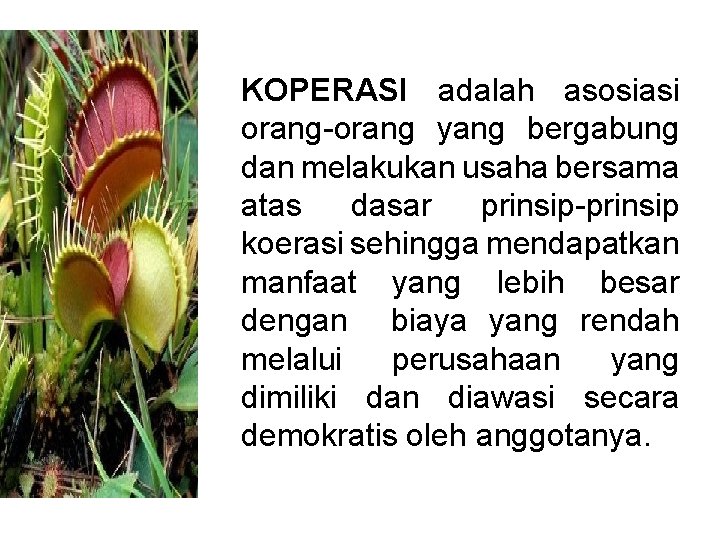 KOPERASI adalah asosiasi orang-orang yang bergabung dan melakukan usaha bersama atas dasar prinsip-prinsip koerasi