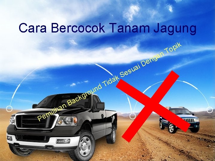 Cara Bercocok Tanam Jagung ik p o n T n ga e D ai