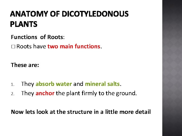 ANATOMY OF DICOTYLEDONOUS PLANTS Functions of Roots: � Roots have two main functions. These