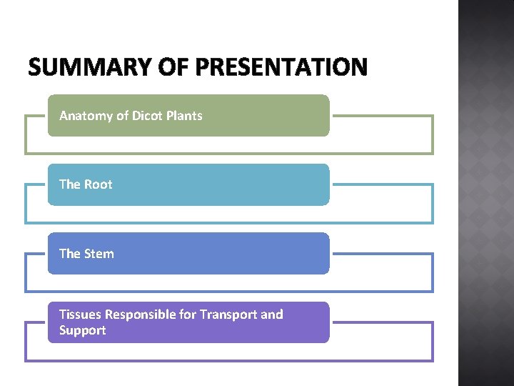 SUMMARY OF PRESENTATION Anatomy of Dicot Plants The Root The Stem Tissues Responsible for