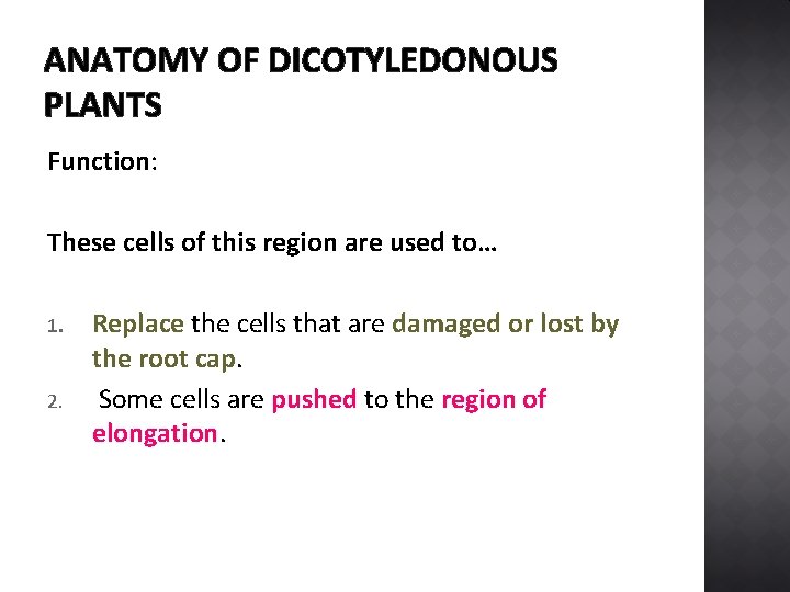 ANATOMY OF DICOTYLEDONOUS PLANTS Function: These cells of this region are used to… 1.