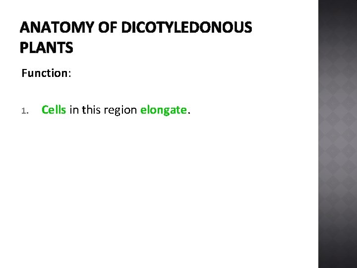 ANATOMY OF DICOTYLEDONOUS PLANTS Function: 1. Cells in this region elongate. 