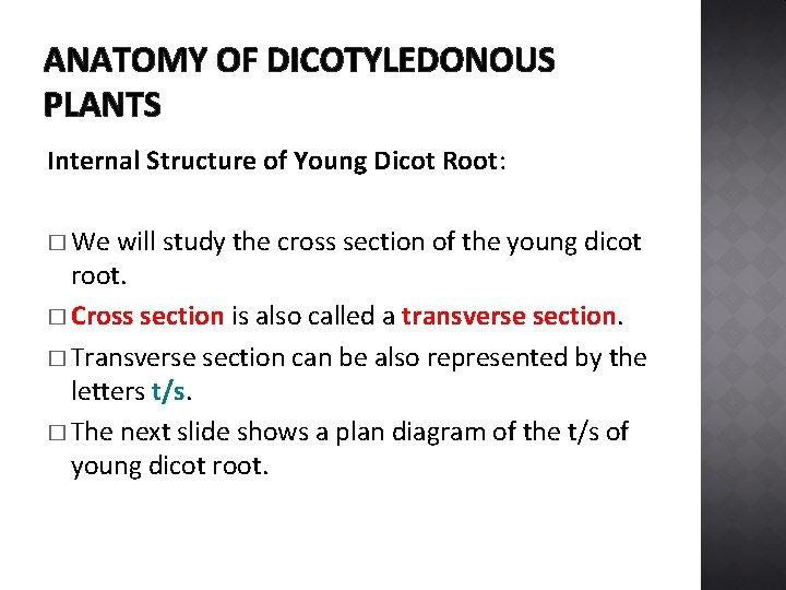 ANATOMY OF DICOTYLEDONOUS PLANTS Internal Structure of Young Dicot Root: � We will study