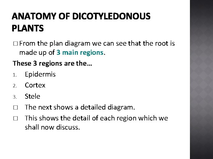 ANATOMY OF DICOTYLEDONOUS PLANTS � From the plan diagram we can see that the