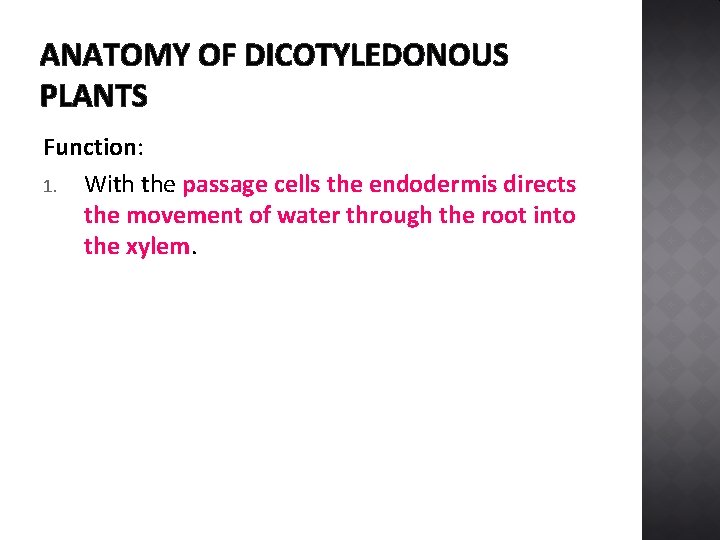 ANATOMY OF DICOTYLEDONOUS PLANTS Function: 1. With the passage cells the endodermis directs the