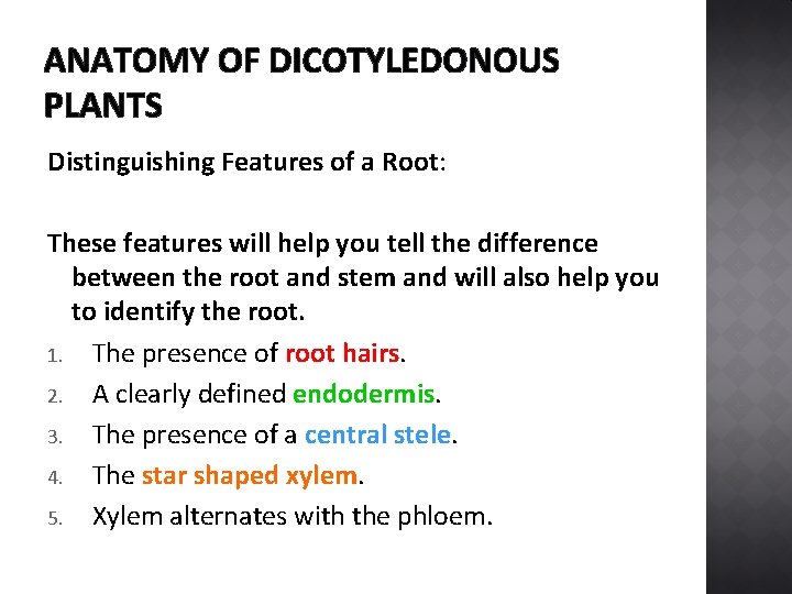 ANATOMY OF DICOTYLEDONOUS PLANTS Distinguishing Features of a Root: These features will help you