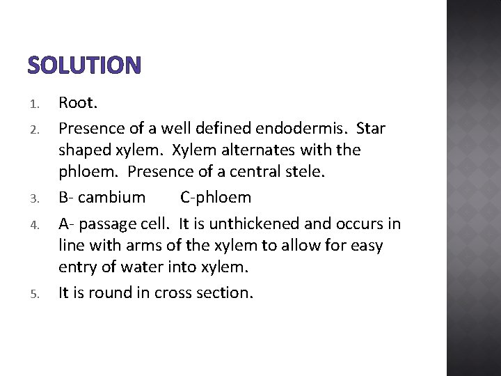 SOLUTION 1. 2. 3. 4. 5. Root. Presence of a well defined endodermis. Star