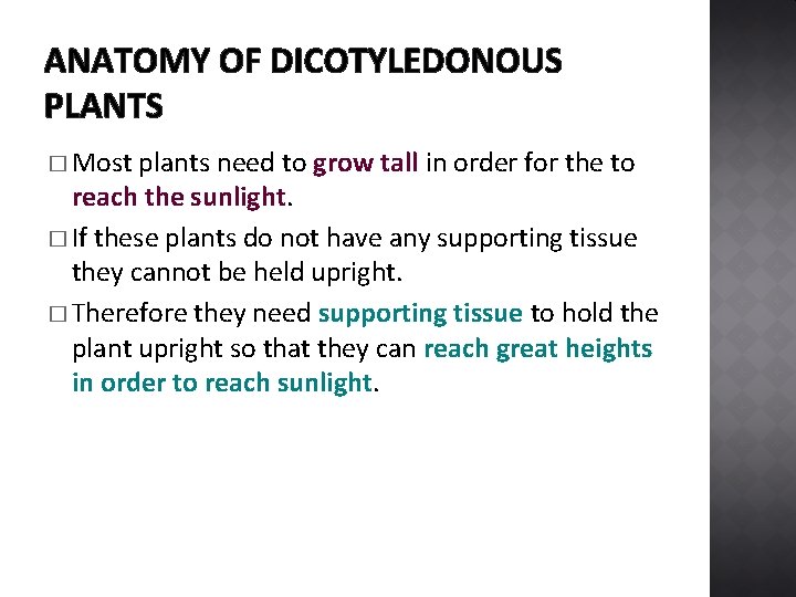 ANATOMY OF DICOTYLEDONOUS PLANTS � Most plants need to grow tall in order for