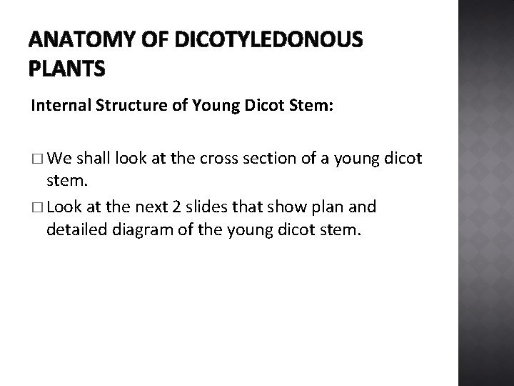 ANATOMY OF DICOTYLEDONOUS PLANTS Internal Structure of Young Dicot Stem: � We shall look