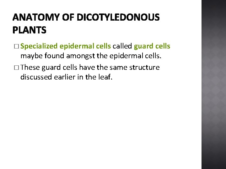 ANATOMY OF DICOTYLEDONOUS PLANTS � Specialized epidermal cells called guard cells maybe found amongst