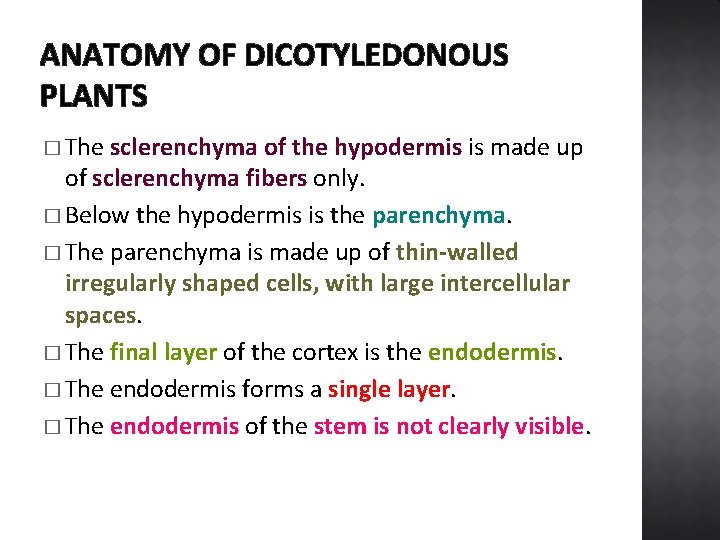 ANATOMY OF DICOTYLEDONOUS PLANTS � The sclerenchyma of the hypodermis is made up of