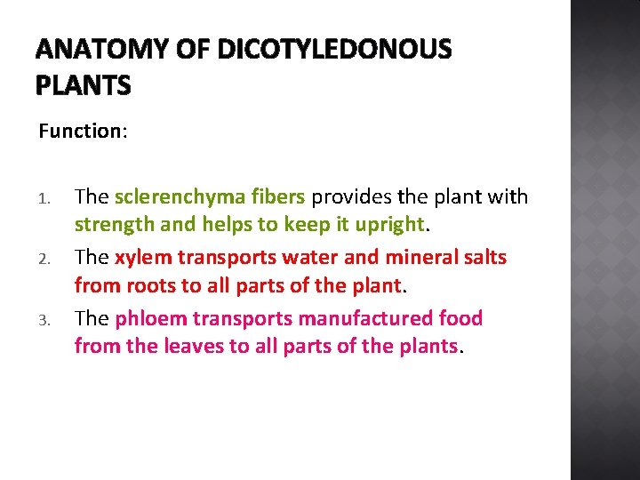 ANATOMY OF DICOTYLEDONOUS PLANTS Function: 1. 2. 3. The sclerenchyma fibers provides the plant