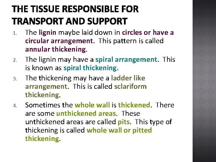 THE TISSUE RESPONSIBLE FOR TRANSPORT AND SUPPORT 1. 2. 3. 4. The lignin maybe