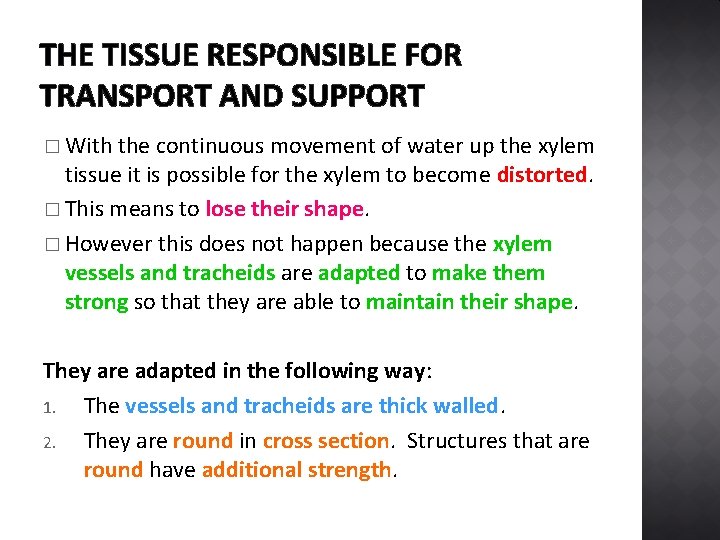 THE TISSUE RESPONSIBLE FOR TRANSPORT AND SUPPORT � With the continuous movement of water