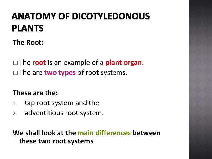 ANATOMY OF DICOTYLEDONOUS PLANTS The Root: � The root is an example of a