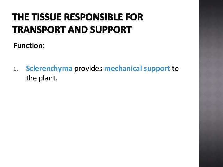 THE TISSUE RESPONSIBLE FOR TRANSPORT AND SUPPORT Function: 1. Sclerenchyma provides mechanical support to