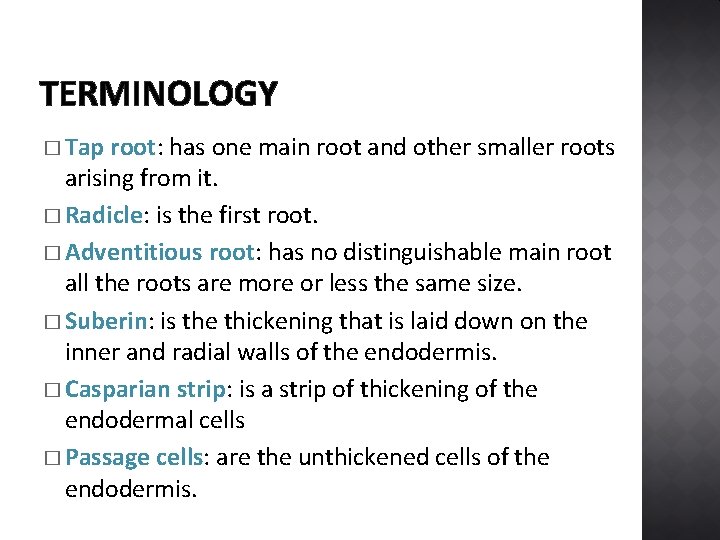 TERMINOLOGY � Tap root: has one main root and other smaller roots arising from