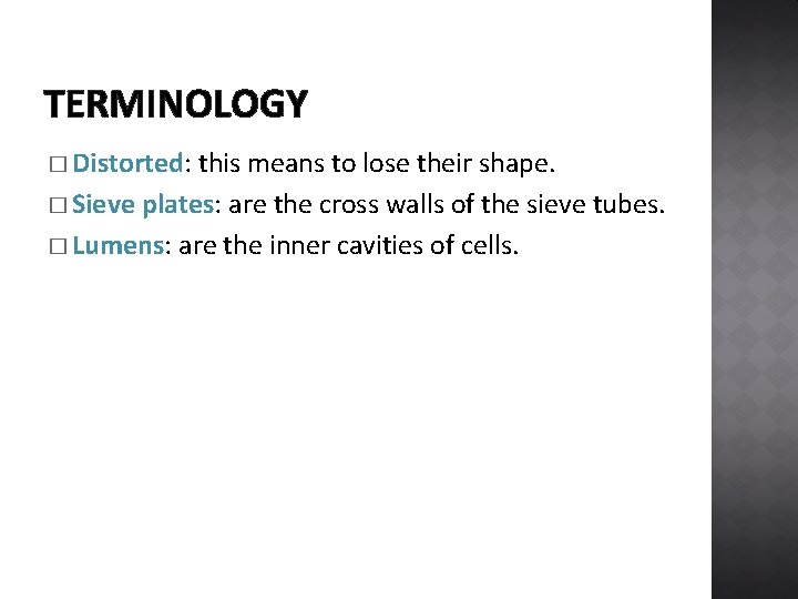 TERMINOLOGY � Distorted: this means to lose their shape. � Sieve plates: are the