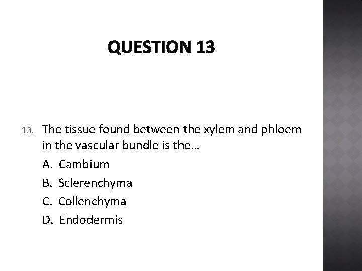 QUESTION 13 13. The tissue found between the xylem and phloem in the vascular