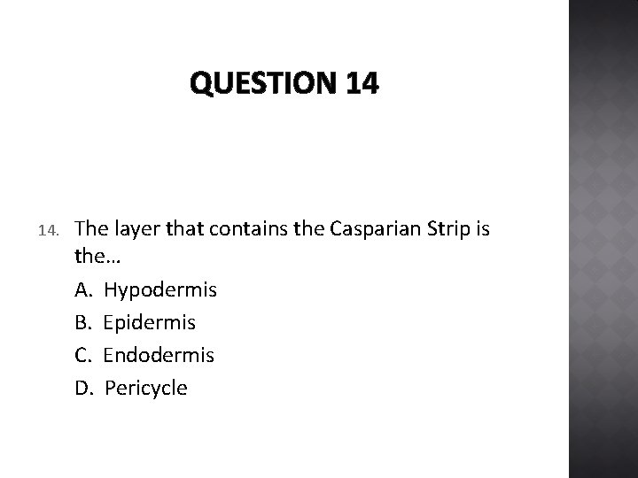 QUESTION 14 14. The layer that contains the Casparian Strip is the… A. Hypodermis