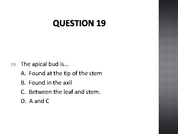 QUESTION 19 19. The apical bud is… A. Found at the tip of the