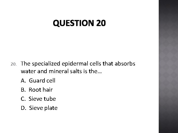 QUESTION 20 20. The specialized epidermal cells that absorbs water and mineral salts is