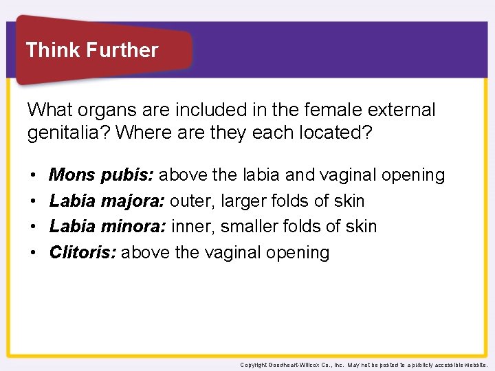 Think Further What organs are included in the female external genitalia? Where are they