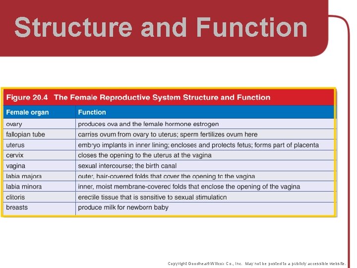 Structure and Function Copyright Goodheart-Willcox Co. , Inc. May not be posted to a