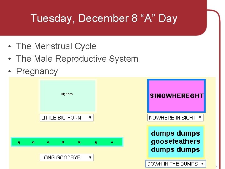 Tuesday, December 8 “A” Day • The Menstrual Cycle • The Male Reproductive System