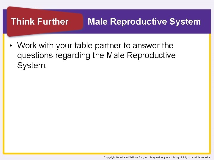 Think Further Male Reproductive System • Work with your table partner to answer the