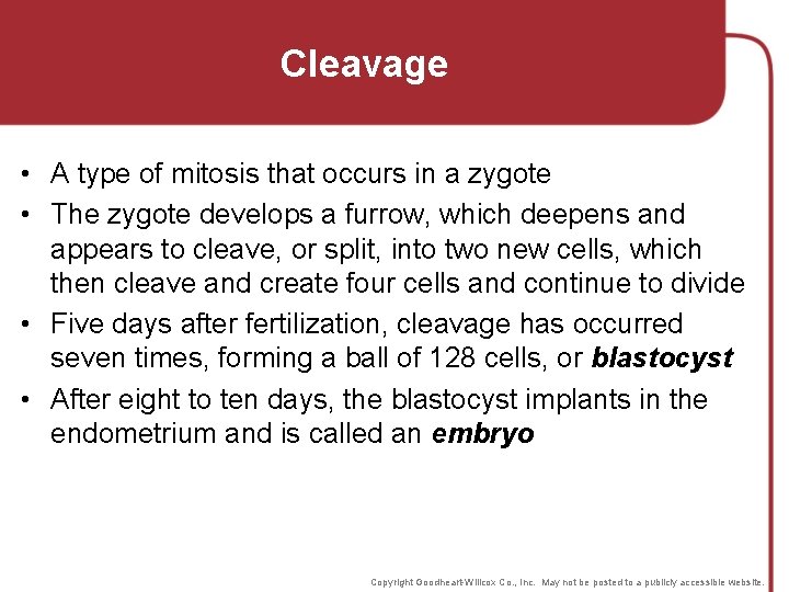 Cleavage • A type of mitosis that occurs in a zygote • The zygote