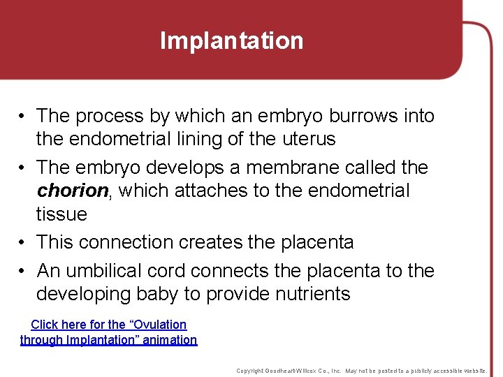 Implantation • The process by which an embryo burrows into the endometrial lining of