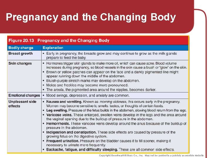 Pregnancy and the Changing Body Copyright Goodheart-Willcox Co. , Inc. May not be posted