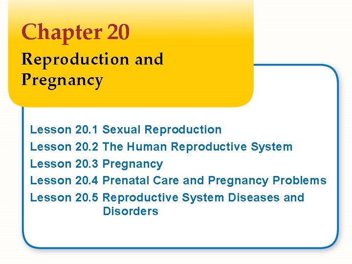 Chapter 20 Reproduction and Pregnancy Lesson Lesson 20. 1 20. 2 20. 3 20.