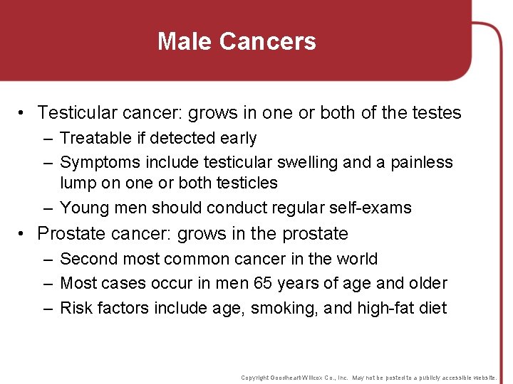 Male Cancers • Testicular cancer: grows in one or both of the testes –
