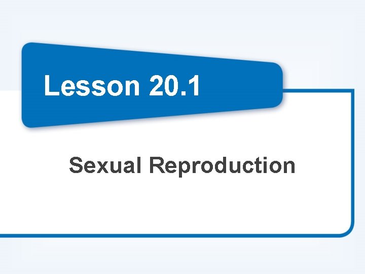 Lesson 20. 1 Sexual Reproduction 